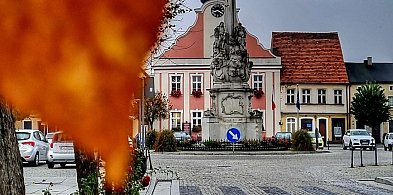 Polecamy: jesienią Rydzyna jest bardzo urokliwa i malownicza (zdjęcia)-79263