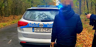 Zgubiła się w lesie na grzybobraniu. Kto włączył sygnały podpowiadające drogę?-79718
