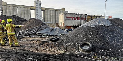 Pojechali do pożaru. Na miejscu okazało się, że… (zdjęcia)-79910