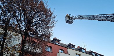 Lepiej dmuchać na zimne. Strażacy chwalą zgłaszającego (zdjęcia, film)-80042