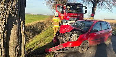 Kierowca forda wjechał w drzewo. Służby ratownicze na miejscu (zdjęcia)-80078