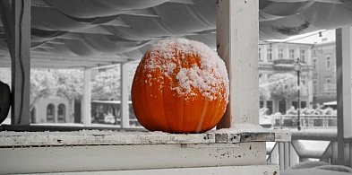 Piękna strona zimy 2025 w Lesznie (zdjęcia)-80736