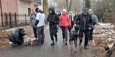 I Leszczyński Marsz Piesków. Dla psiarzy nie ma złej pogody (zdjęcia, film)-80883