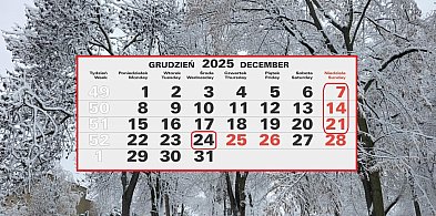 Grudzień 2025 będzie wyjątkowy! Jest dużo nowości w kalendarzu-80907