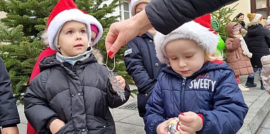 Przedszkolaki udekorowały rydzyńskie choinki (zdjęcia, film)-81375