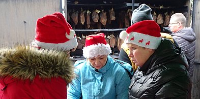 Gwiazdor z Teksasu na Jarmarku w Wilkowicach (zdjęcia, film)-81384