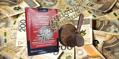 Była prezes CKiR Akwawit w Lesznie skazana. Przywłaszczyła ponad 3 mln zł-81549