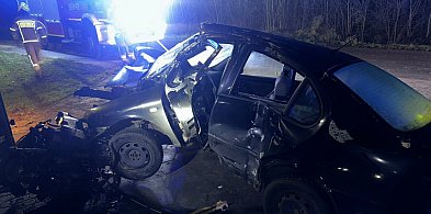 Wjechał w ogrodzenie posesji. Trafił do szpitala (zdjęcia)-81552