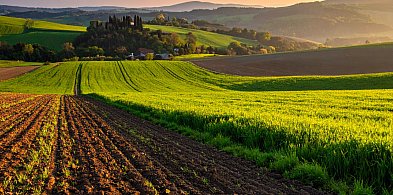 Zakup ziemi rolnej bez statusu rolnika – zasady, limity i praktyka-81775