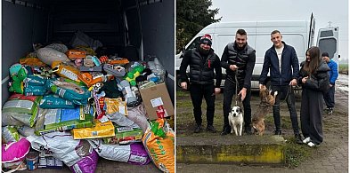 Imponujący finał zbiórki dla bezdomnych zwierzaków-81781