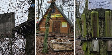 Ogromne koszty napraw parku linowego Tarzan w Lesznie (zdjęcia, film)-81826