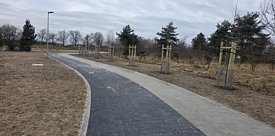 Miasto organizuje kulig wokół zbiornika w Zaborowie. Będą też inne atrakcje-82219