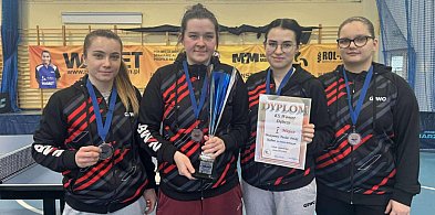 Zdobyły Puchar i wygrały w lidze. Świetny początek roku zawodniczek Wametu-82291