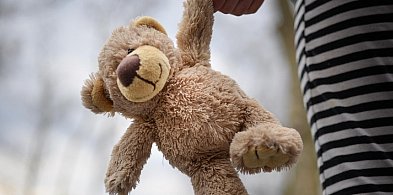 Miś szuka swojego właściciela. Zgubił się w jednym z marketów w Lesznie-82342