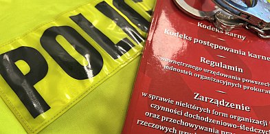 Dokonała 18 kradzieży w jednym sklepie. W końcu została namierzona-82558
