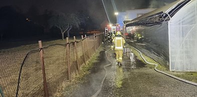 Pożar w kotłowni w ogrodnictwie. W akcji 7 zastępów straży (zdjęcia, film)