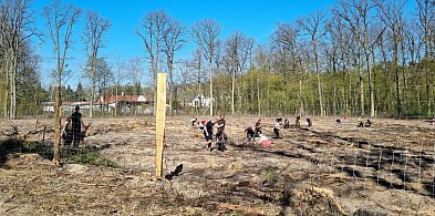 Zakasali rękawy i wspólnie zrobili coś dobrego (zdjęcia, film)