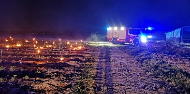 Pojechali do pożaru, a zastali ogrzewane truskawki (zdjęcia)