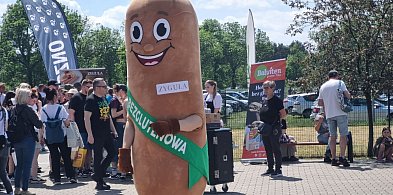 Tłumy na pikniku bezglutenowym w Lesznie (zdjęcia)