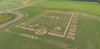 W polu kukurydzy powstał labirynt. Piloci Antidotum AirShow będą go... (zdjęcia)