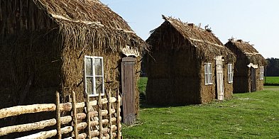 Miejsce warte odwiedzenia, blisko Leszna (zdjęcia)-78430