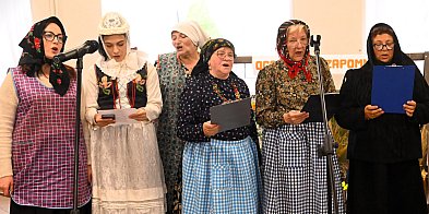 Izba Regionalna w Pawłowicach ma 20 lat (zdjęcia)-78456