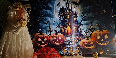 W tym ogrodzie naprawdę straszy (zdjęcia, film)-79877