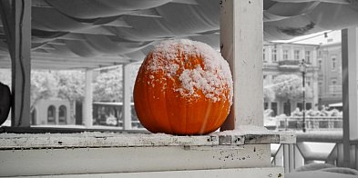 Piękna strona zimy 2025 w Lesznie (zdjęcia)-80736