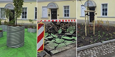 W centrum Leszna: był asfalt, są skwery (zdjęcia,film)-81093