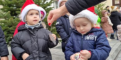 Przedszkolaki udekorowały choinki (zdjęcia,film)-81375