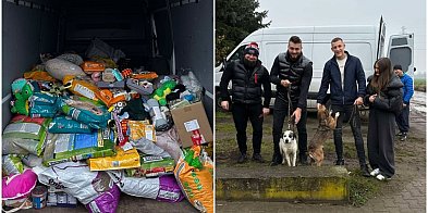 Imponujący finał zbiórki dla bezdomnych zwierzaków-81781