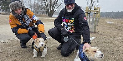 Ile zebrała WOŚP w naszym regionie?