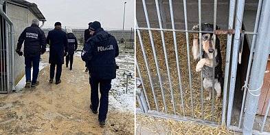 Kolejna kontrola w schronisku w Henrykowie (zdjęcia)