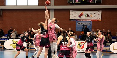 To trzeba wygrać! Ważny mecz koszykarek Lou Tęczy Leszno