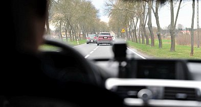 Pracownik stracił prawo jazdy. Skąd pracodawca ma o tym wiedzieć?-78388