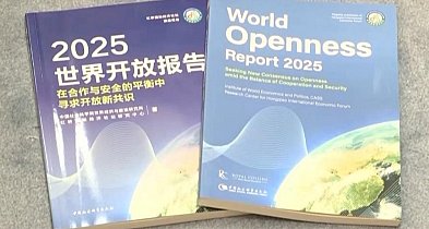 Kraje rozwijające się, są coraz bardziej otwarte na współpracę-80105