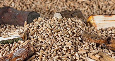 Jest pellet? Chyba pan oszalał! Nie ma i nie wiadomo, kiedy będzie