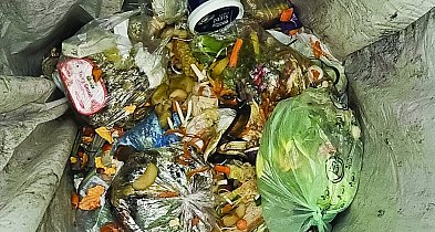 Wielka moc bioodpadów! Jak zmieniają się w cenny kompost