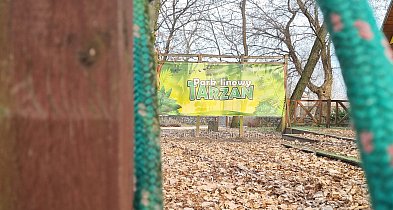 Miejski Zakład Zieleni zdecydował o przyszłości parku linowego