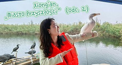 „Miasto Przyszłości” wybudowane od podstaw (cz.2)