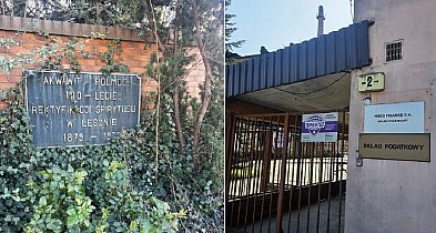 Jest wniosek o upadłość Akwawitu w Lesznie