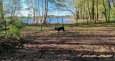 W Boszkowie powstaje plaża dla wczasowiczów z psami (zdjęcia)