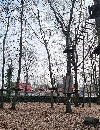 Miejski Zakład Zieleni zdecydował o przyszłości parku linowego