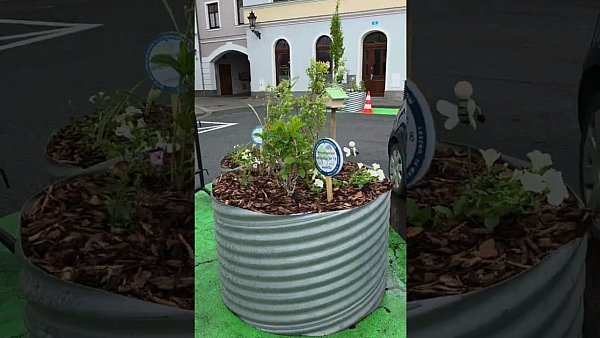 Koniec z betonozą w Lesznie. Odasfaltowanie placu Powstańców