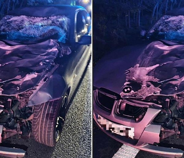 Jeleń uderzył w rozpędzone bmw. Zwierzę nie przeżyło tego wypadku-78423