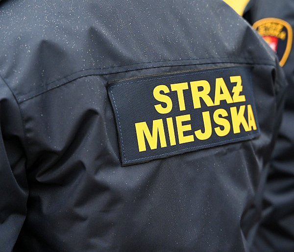 Zapuka strażnik, zapłacisz karę. Ruszyły kontrole w całej Polsce-79257