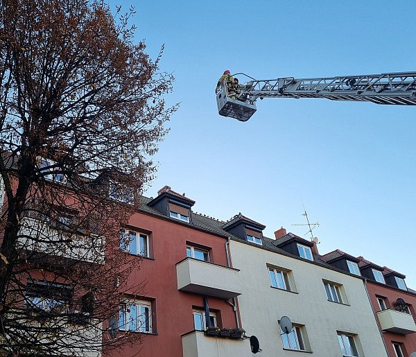 Lepiej dmuchać na zimne. Strażacy chwalą zgłaszającego (zdjęcia, film)-80042