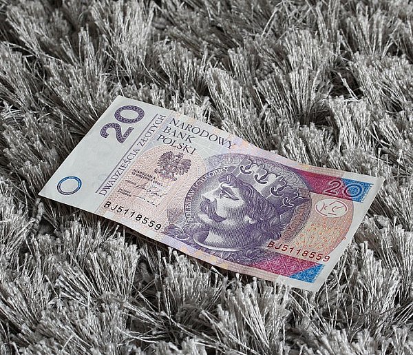 Nowy banknot o nominale 20 zł. Wchodzi do obiegu w tym tygodniu-80060