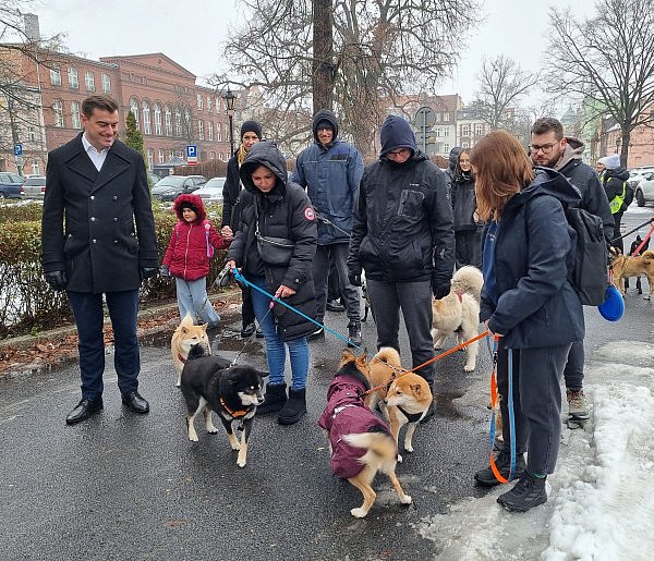 I Leszczyński Marsz Piesków. Dla psiarzy nie ma złej pogody (zdjęcia, film)-80883