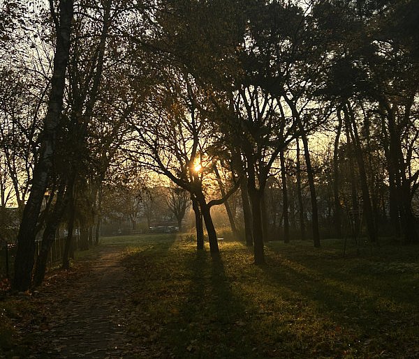 Nadchodzi najkrótszy dzień w 2025 roku. Sprawdź, kiedy przypadnie-81587